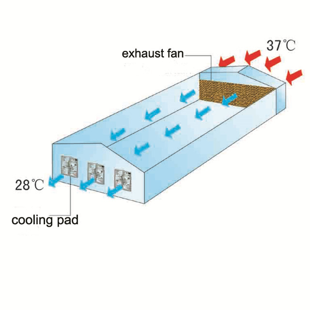 Honeycomb Water Cooling Pad And Exhaust Fan Systems for Poultry Farm 